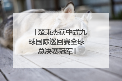 楚秉杰获中式九球国际巡回赛全球总决赛冠军