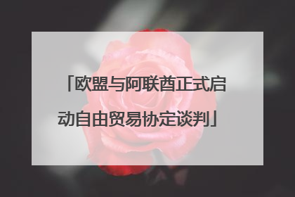 欧盟与阿联酋正式启动自由贸易协定谈判