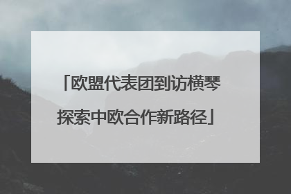 欧盟代表团到访横琴 探索中欧合作新路径