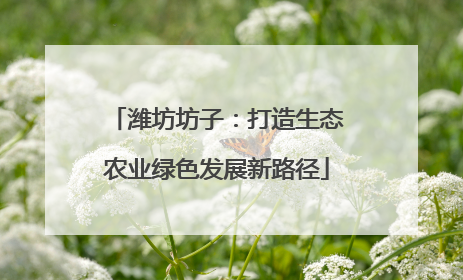 潍坊坊子：打造生态农业绿色发展新路径