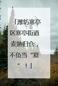 潍坊寒亭区寒亭街道麦熟归仓，不负当“夏”！