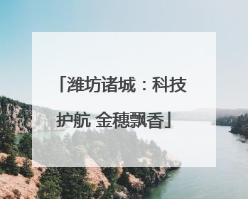 潍坊诸城：科技护航 金穗飘香