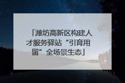 潍坊高新区构建人才服务驿站“引育用留”全场景生态