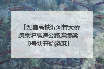 潍宿高铁沂河特大桥跨京沪高速公路连续梁0号块开始浇筑