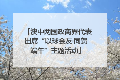 澳中两国政商界代表出席“以球会友·同贺端午”主题活动