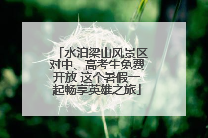 水泊梁山风景区对中、高考生免费开放 这个暑假一起畅享英雄之旅