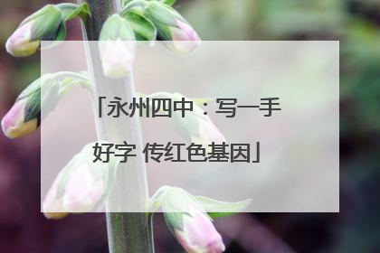 永州四中：写一手好字 传红色基因