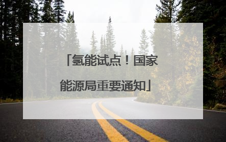 氢能试点！国家能源局重要通知