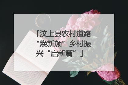 汶上县农村道路“焕新颜”乡村振兴“启新篇”