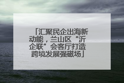 汇聚民企出海新动能，兰山区“沂企联”会客厅打造跨境发展强磁场