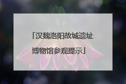 汉魏洛阳故城遗址博物馆参观提示