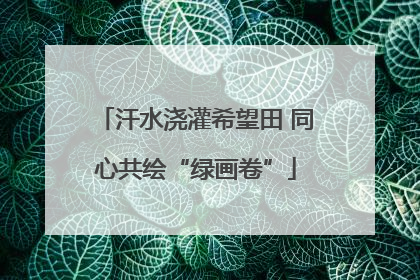 汗水浇灌希望田 同心共绘“绿画卷”