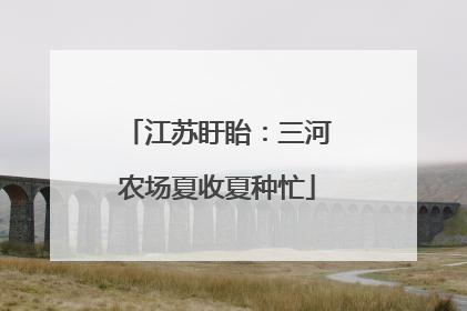 江苏盱眙：三河农场夏收夏种忙