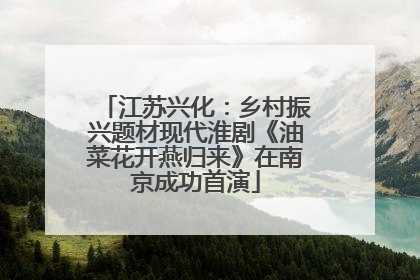 江苏兴化：乡村振兴题材现代淮剧《油菜花开燕归来》在南京成功首演
