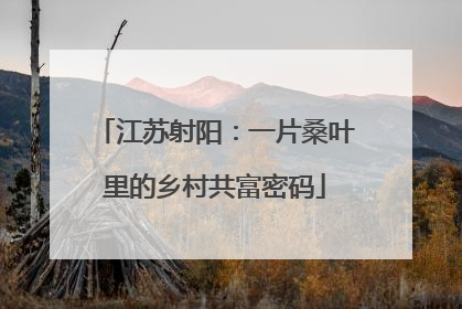 江苏射阳：一片桑叶里的乡村共富密码