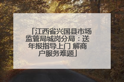 江西省兴国县市场监管局城岗分局：送年报指导上门 解商户服务难题