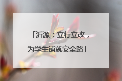 沂源：立行立改，为学生铺就安全路
