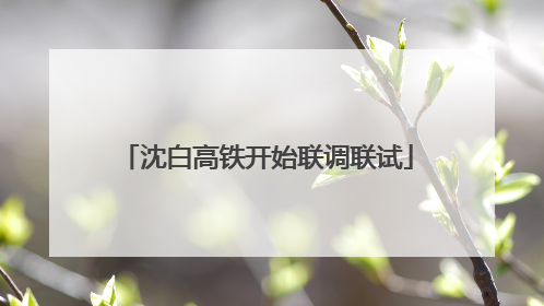 沈白高铁开始联调联试