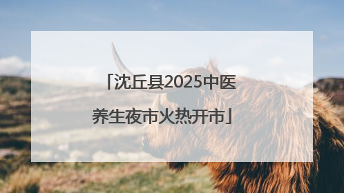 沈丘县2025中医养生夜市火热开市