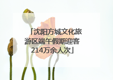 沈阳方城文化旅游区端午假期迎客214万余人次