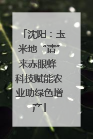 沈阳：玉米地“请”来赤眼蜂 科技赋能农业助绿色增产