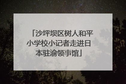 沙坪坝区树人和平小学校小记者走进日本驻渝领事馆