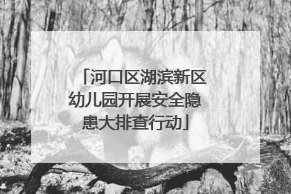 河口区湖滨新区幼儿园开展安全隐患大排查行动
