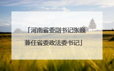 河南省委副书记张巍兼任省委政法委书记