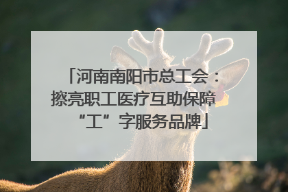 河南南阳市总工会：擦亮职工医疗互助保障“工”字服务品牌