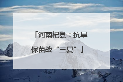 河南杞县：抗旱保苗战“三夏”