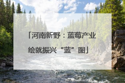 河南新野：蓝莓产业绘就振兴“蓝”图