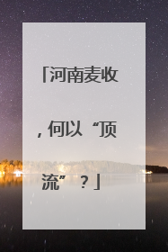 河南麦收，何以“顶流”？