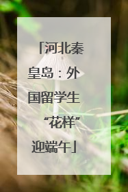 河北秦皇岛：外国留学生“花样”迎端午