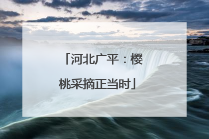 河北广平：樱桃采摘正当时