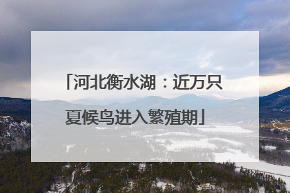 河北衡水湖：近万只夏候鸟进入繁殖期