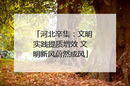 河北辛集：文明实践提质增效 文明新风蔚然成风