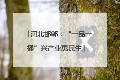 河北邯郸：“一品一播”兴产业惠民生