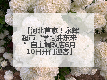 河北首家！永辉超市“学习胖东来”自主调改店6月10日开门迎客