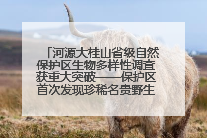 河源大桂山省级自然保护区生物多样性调查获重大突破——保护区首次发现珍稀名贵野生干巴菌与钝尾两头蛇