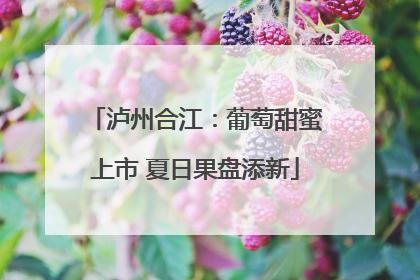 泸州合江：葡萄甜蜜上市 夏日果盘添新