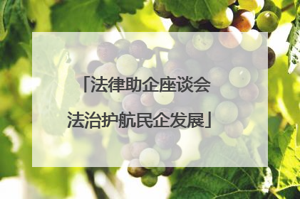 法律助企座谈会 法治护航民企发展