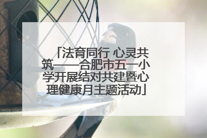 法育同行 心灵共筑——合肥市五一小学开展结对共建暨心理健康月主题活动