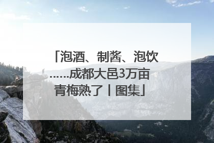 泡酒、制酱、泡饮……成都大邑3万亩青梅熟了丨图集