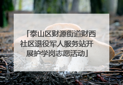 泰山区财源街道财西社区退役军人服务站开展护学岗志愿活动