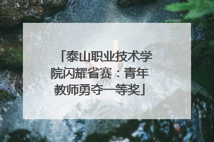 泰山职业技术学院闪耀省赛：青年教师勇夺一等奖