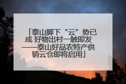 泰山脚下“云”势已成 好物出村一触即发——泰山好品农特产供销云仓即将启用