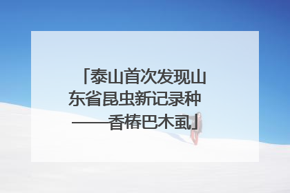 泰山首次发现山东省昆虫新记录种——香椿巴木虱