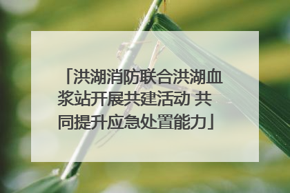 洪湖消防联合洪湖血浆站开展共建活动 共同提升应急处置能力