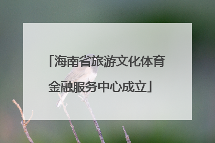 海南省旅游文化体育金融服务中心成立