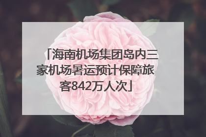 海南机场集团岛内三家机场暑运预计保障旅客842万人次